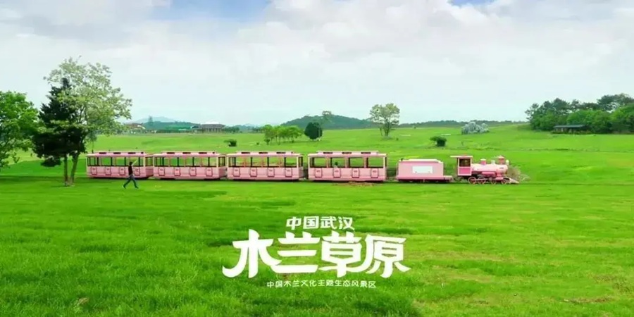 行程美图